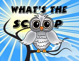 South Shuswap Scoop