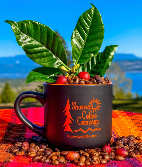 Shuswap Coffee Company