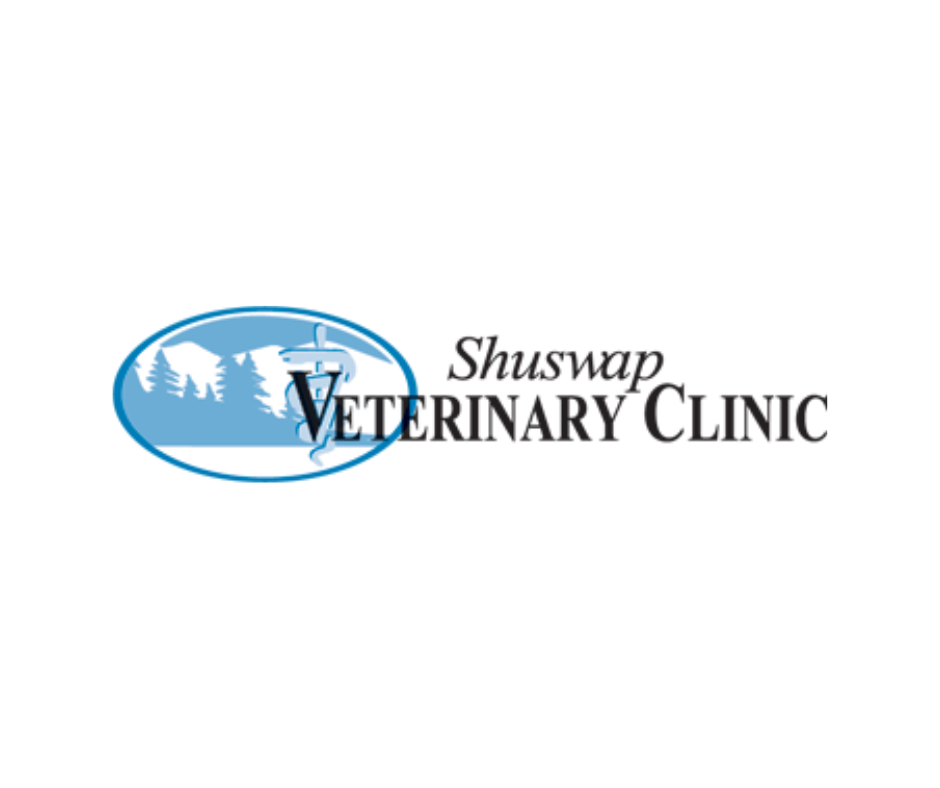 Sorrento sales veterinary clinic